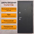 Дверь входная Толстяк 2074