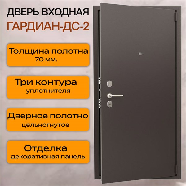 Дверь входная ДС 2/гладкая панель 2079