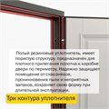 Дверь входная ДС 10 1685 - фото 11334 Дверь входная ДС 10 1685 - фото 11334